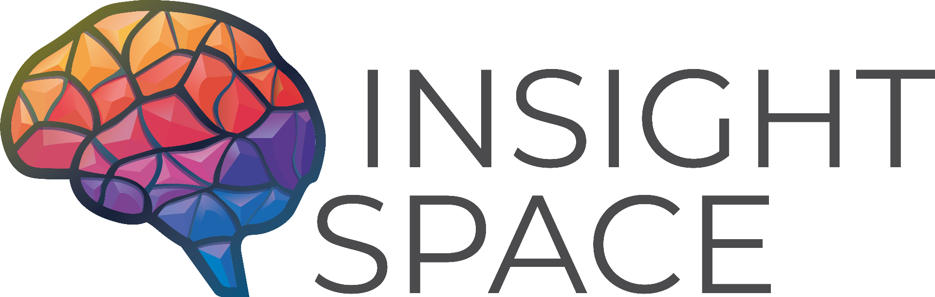 INSIGHT SPACE